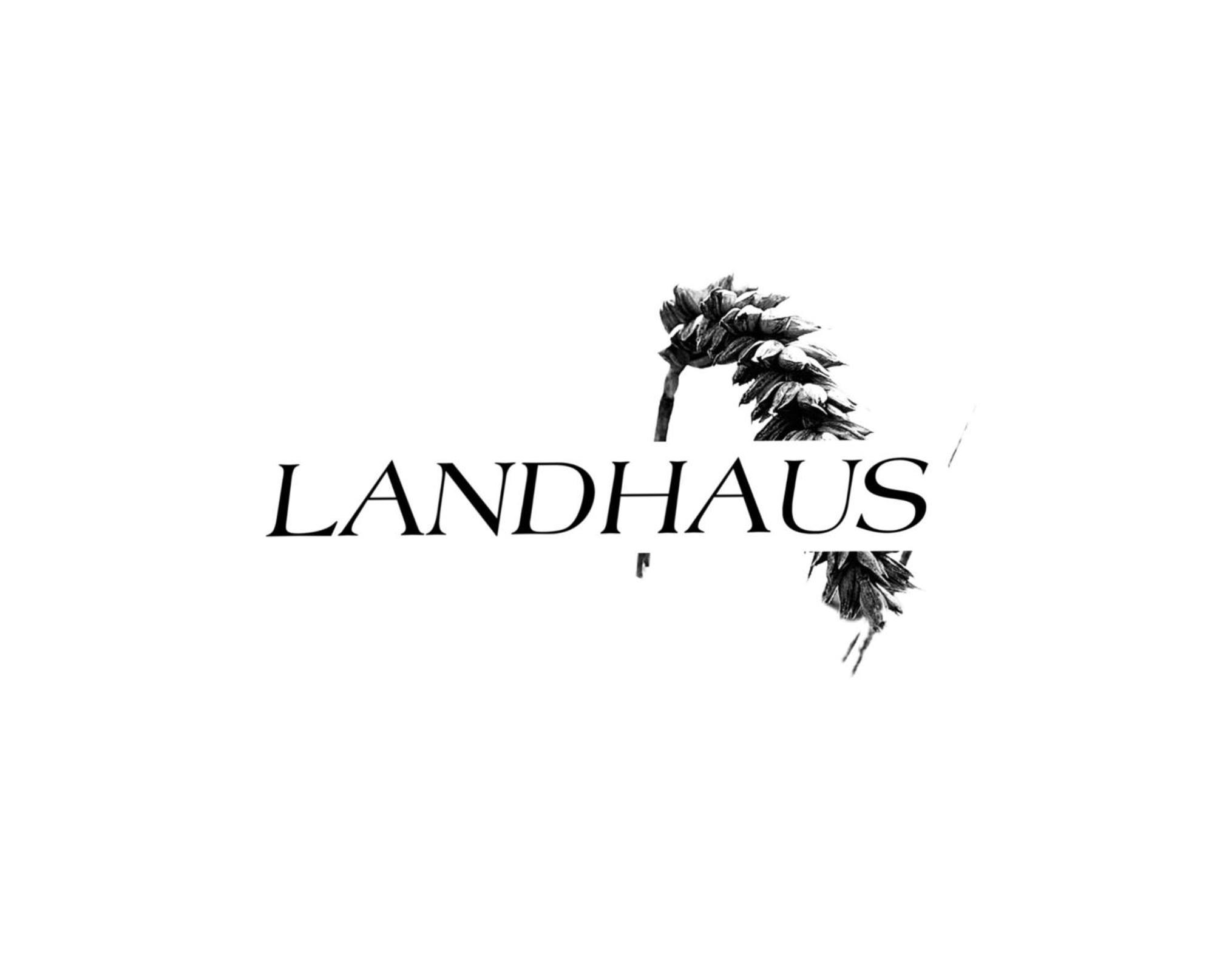 Fewo Buedingen - Landhaus Extérieur photo